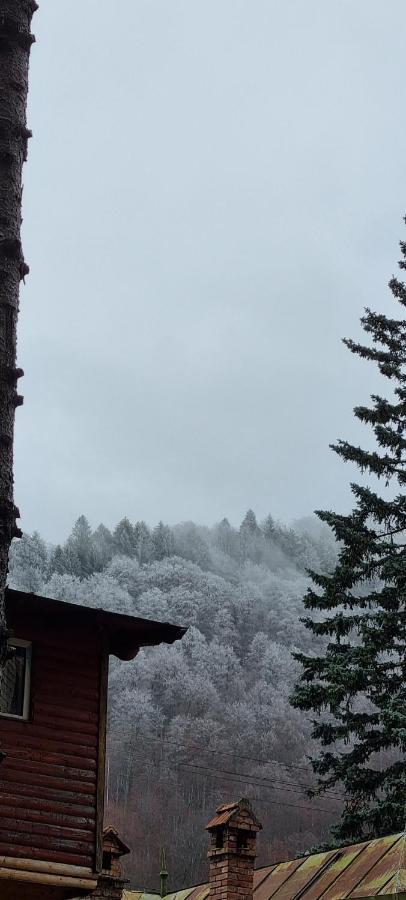 Sophie Apart Belleview Sinaia Exteriér fotografie